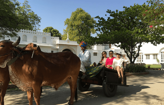 bull-cart